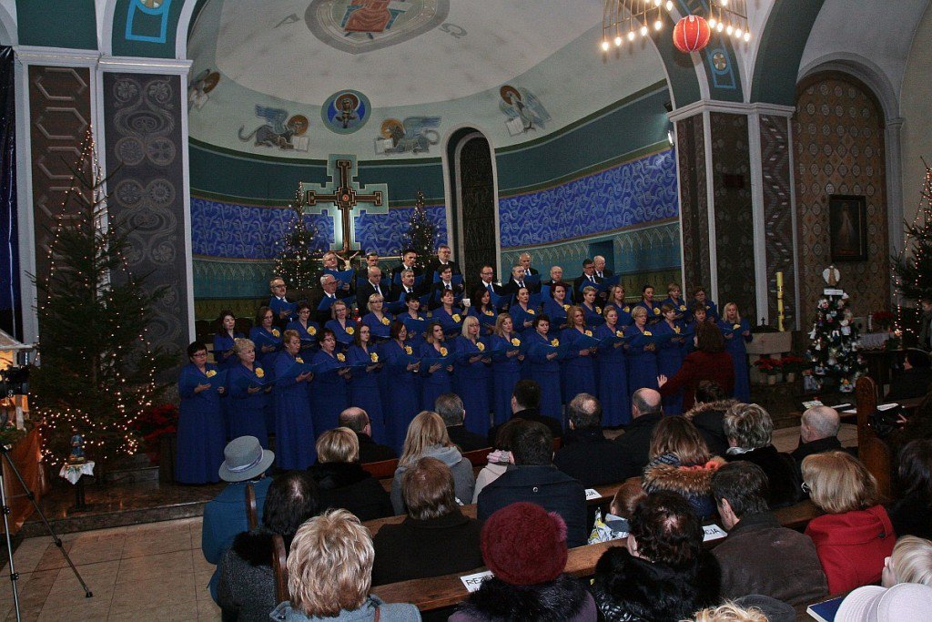 12471386_994349677291917_3932414741743372229_o