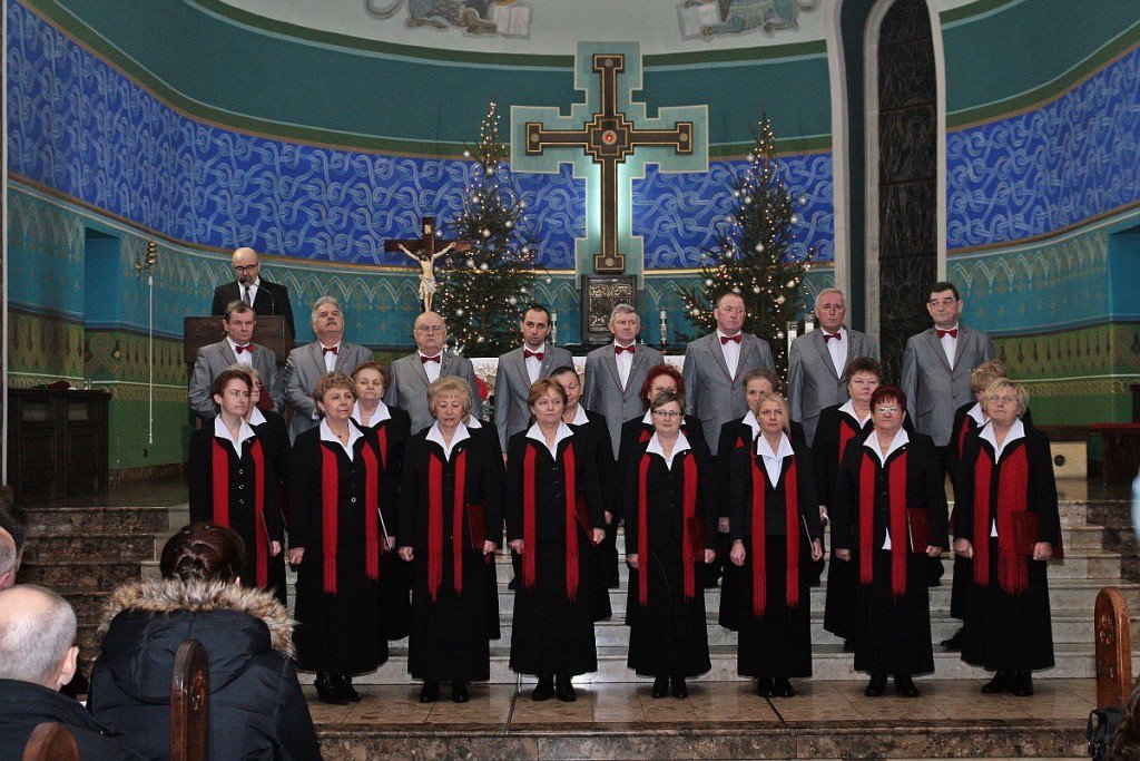 12513547_994349210625297_3353033005375318642_o