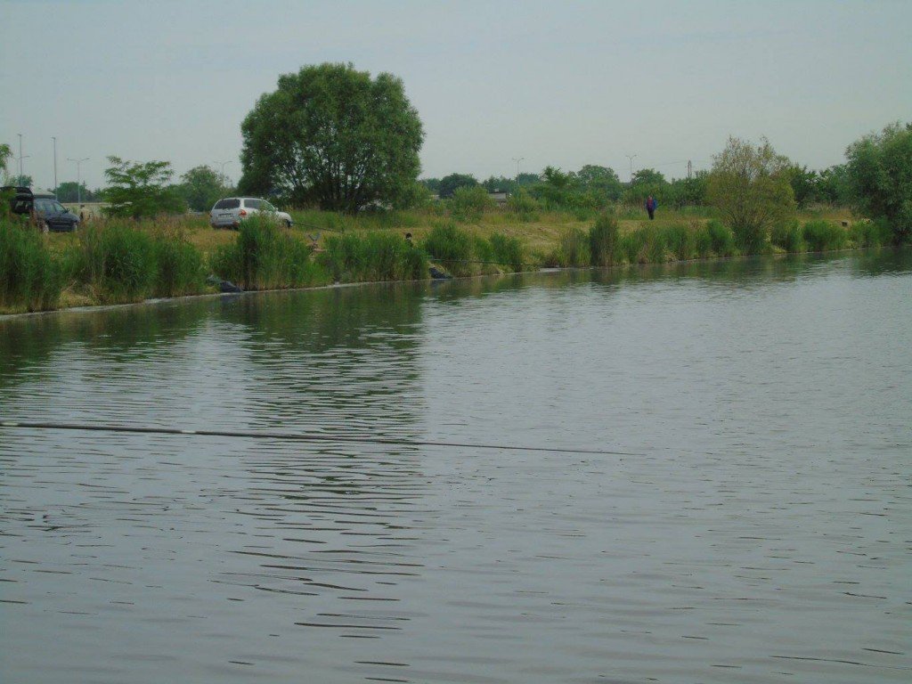 13404016_1110322789020938_497585988344104454_o