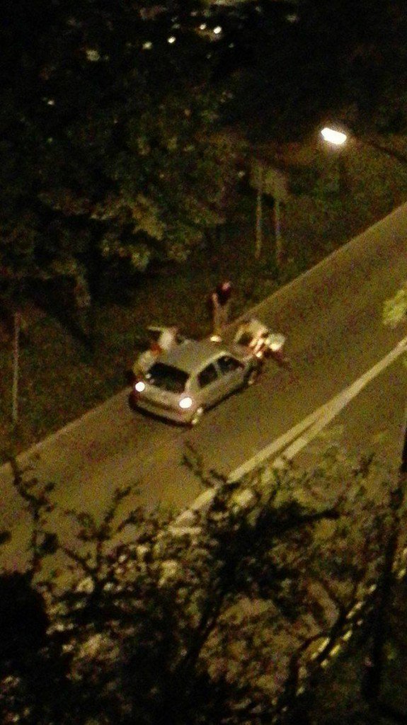 13734928_1140970169289533_8392354563562775577_o