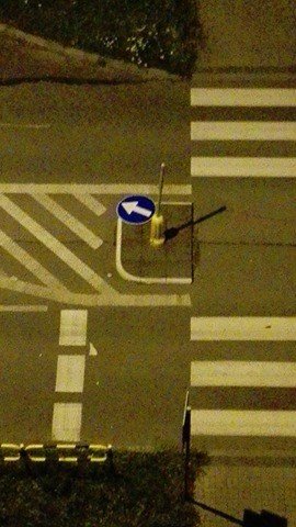 13882373_1140970575956159_4937622460377135533_n