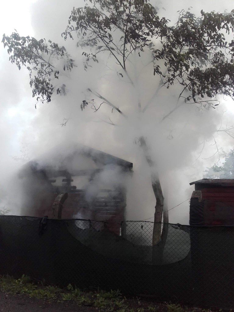 tmp_4878-FB_IMG_1464509054467594060395