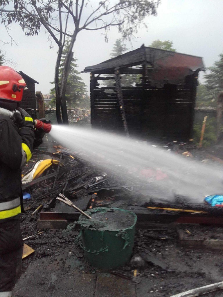 tmp_4878-FB_IMG_14645090574232079325185