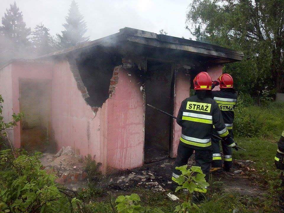 tmp_4878-FB_IMG_14645090765072144760287