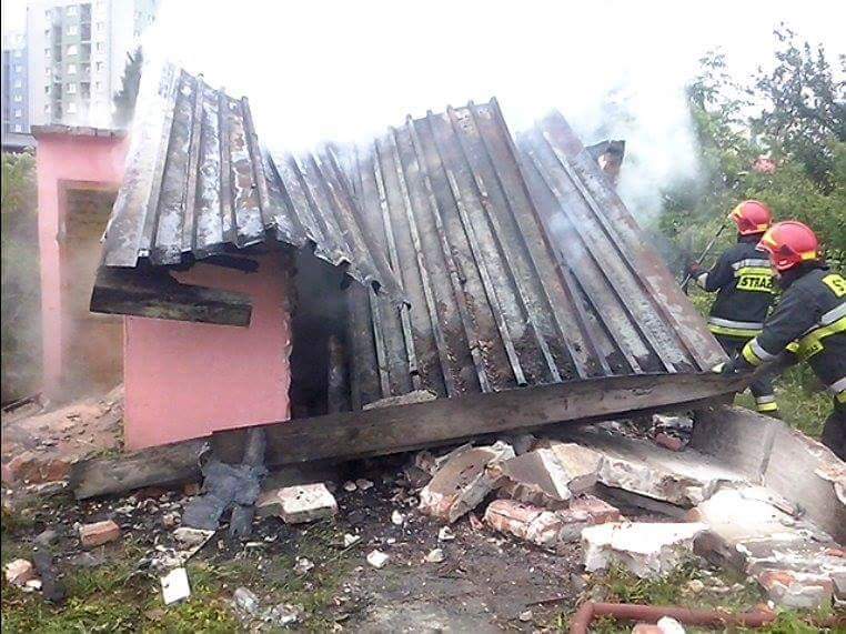 tmp_4878-FB_IMG_1464509085423-443866004