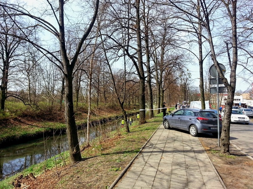 tmp_9061-44-336827-1522793726