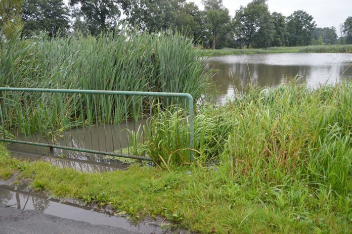 37317990_843597135843454_7205255767337730048_n