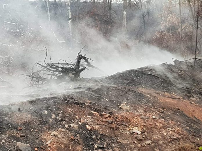 FB_IMG_1536164081574