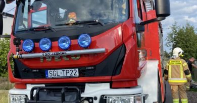 Pilchowice: Gniazdo owadów powodem interwencji strażaków