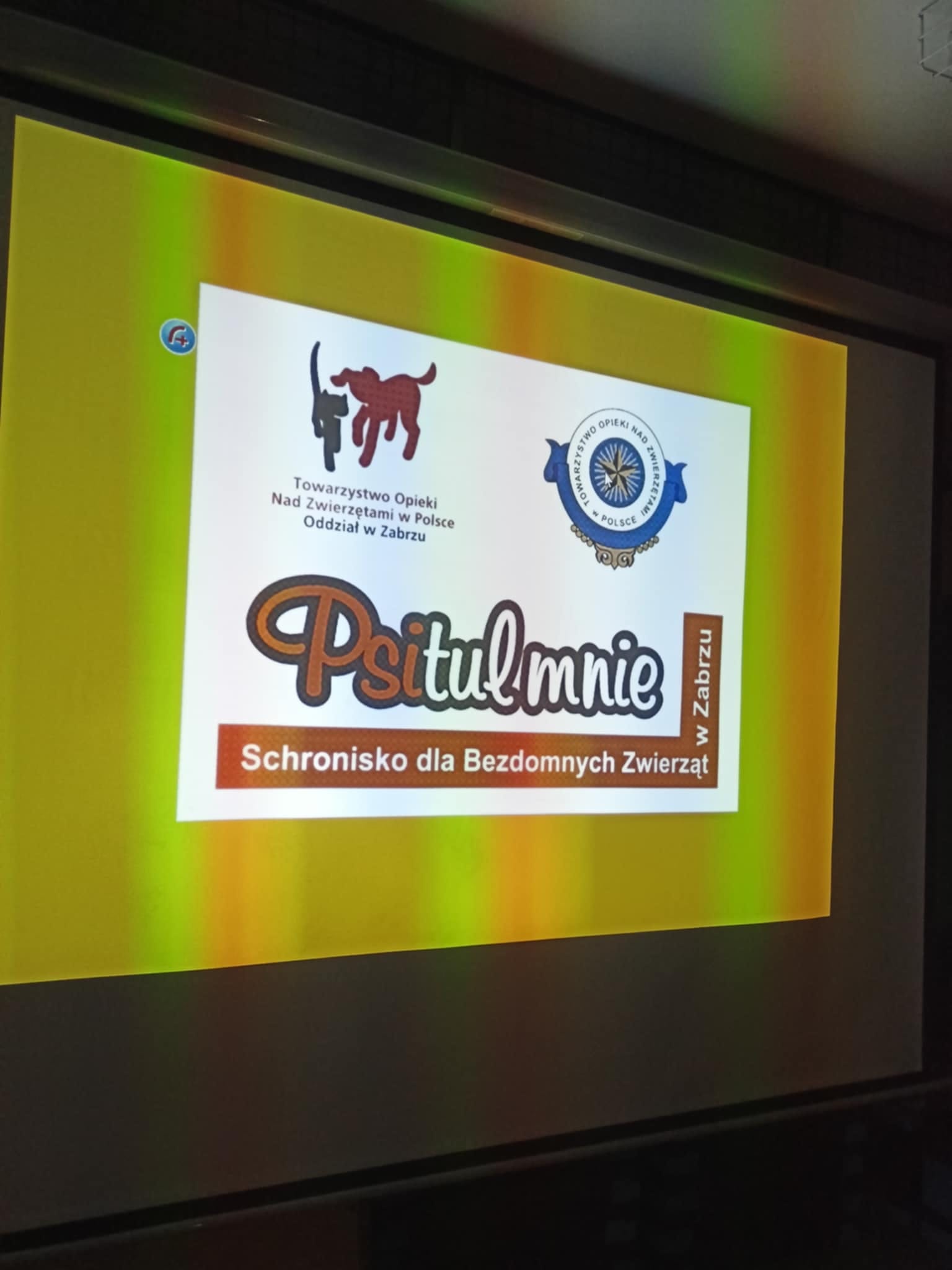 Knurów: Lekcja empatii z udziałem czworonożnego gościa