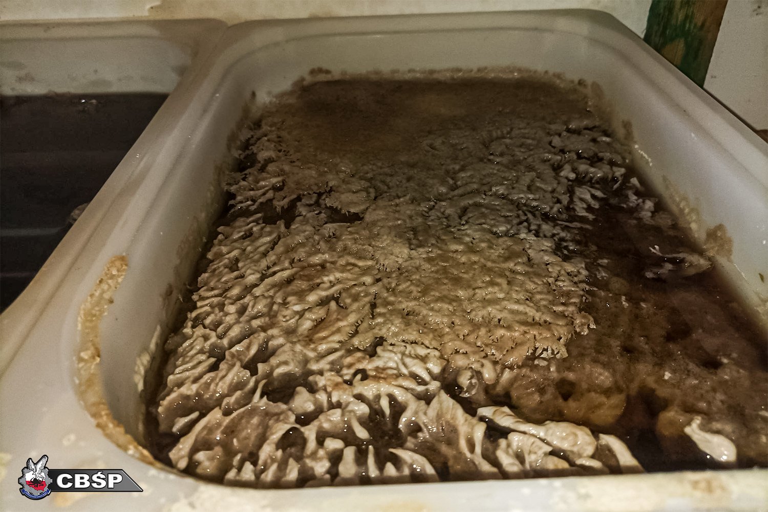 Region: CBŚP zlikwidowało nielegalne laboratorium klefedronu