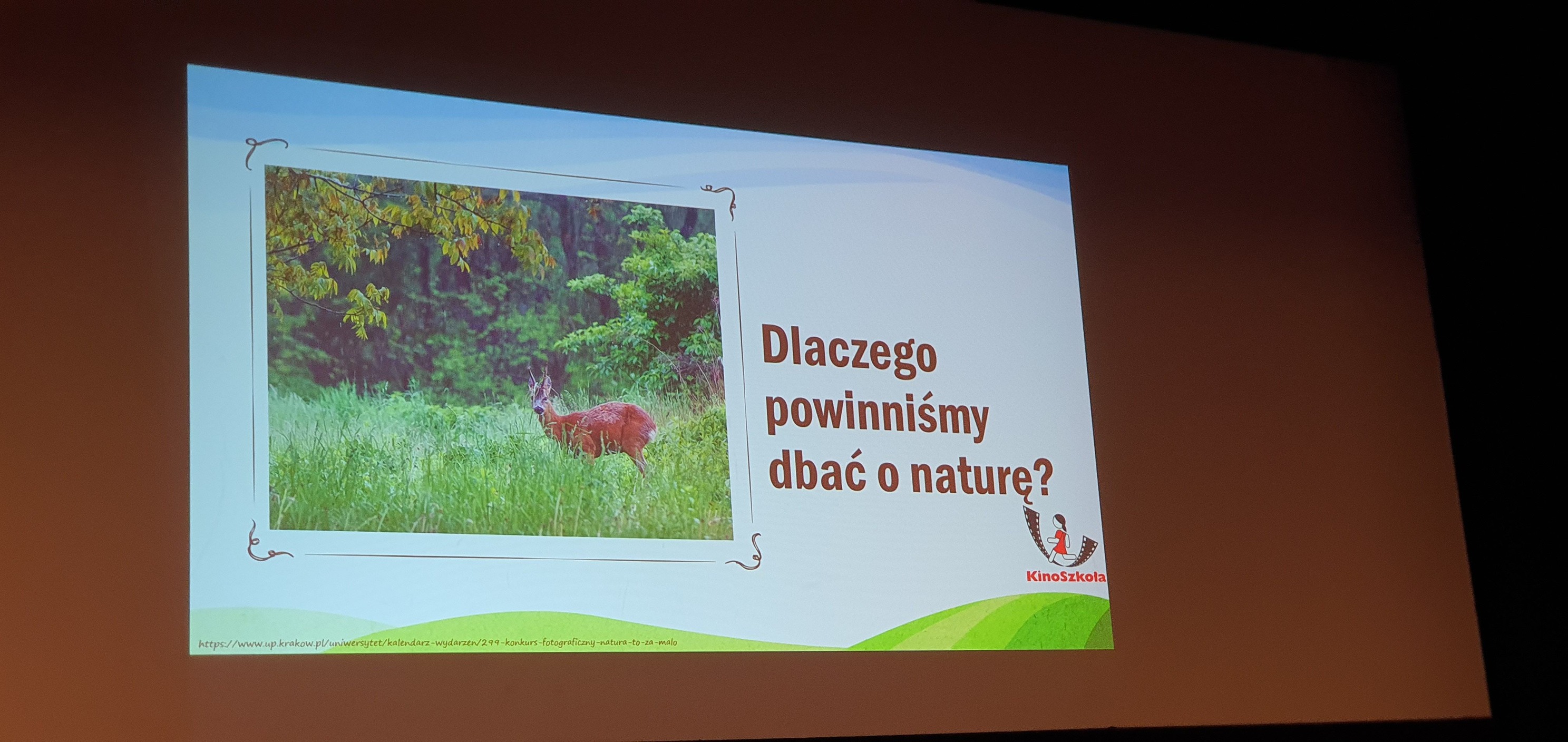 Knurów: Warsztaty z ekologicznym przesłaniem