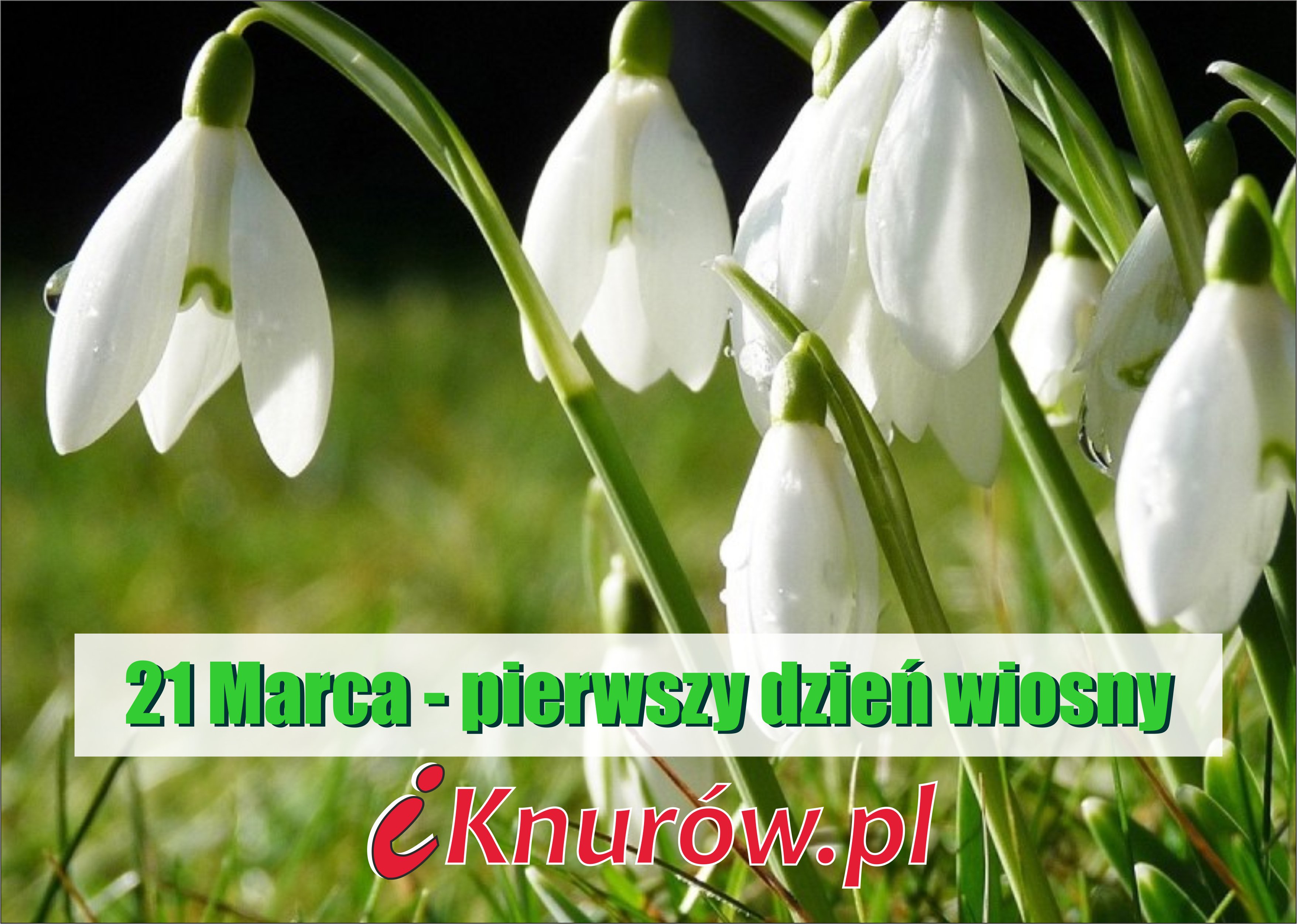 Gify Na Pierwszy Dzień Wiosny 21 marca – pierwszy dzień wiosny | IKNW - iKnurów.pl
